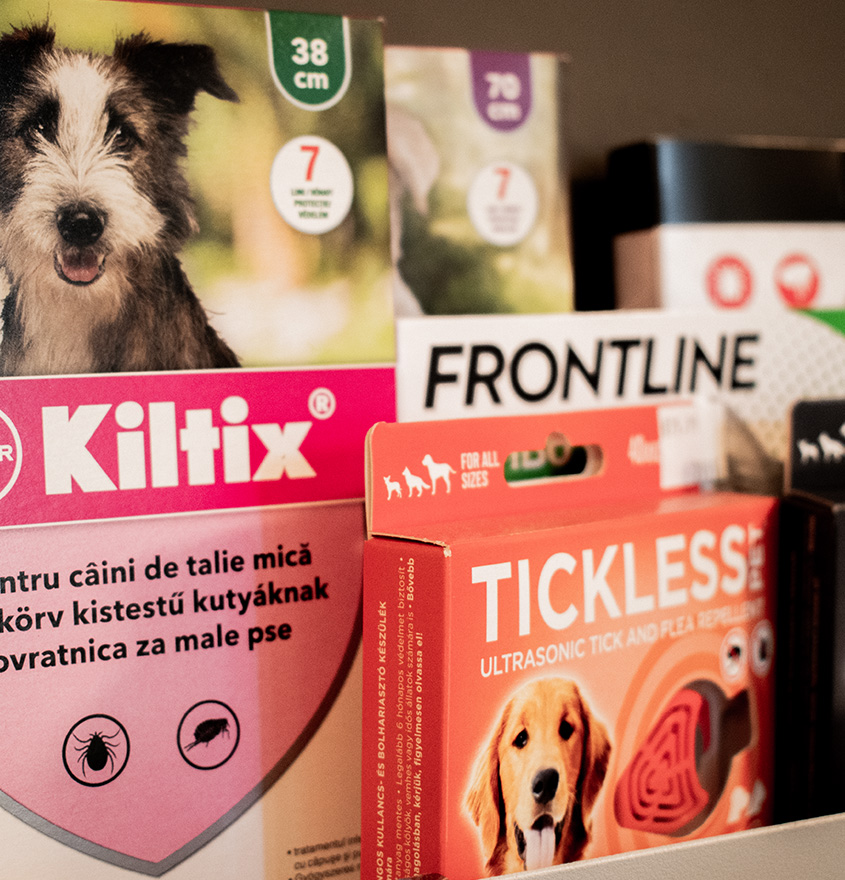 Dogzilla kutya- és macskaeledel Brit Care