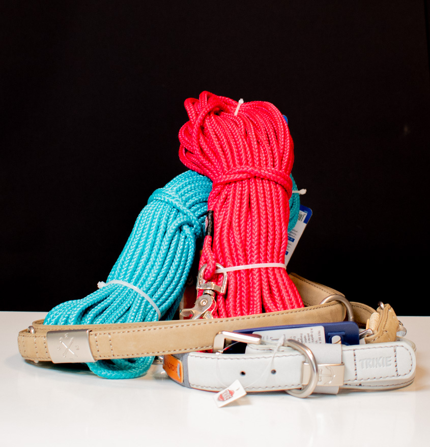 Dogzilla nyakörv és póráz Trixie