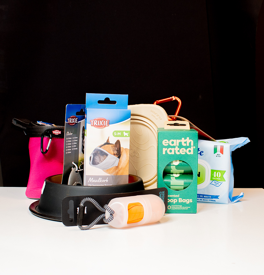 Dogzilla felszerelés otthonra és sétához