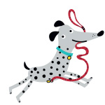 Dogzilla értékelés