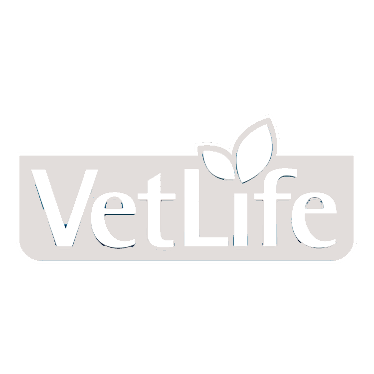 Vet Life a Dogzillánál